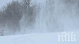 Ураганен вятър затвори пътя от Берковица до хижа Ком