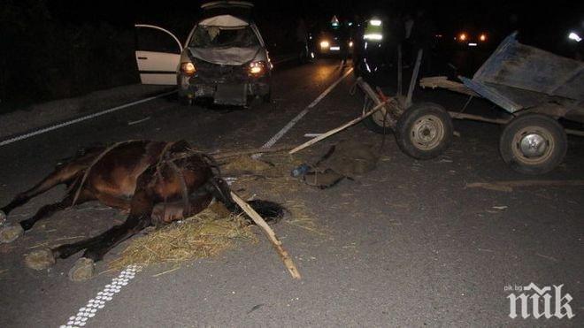 Жена бере душа след катастрофа с каруца