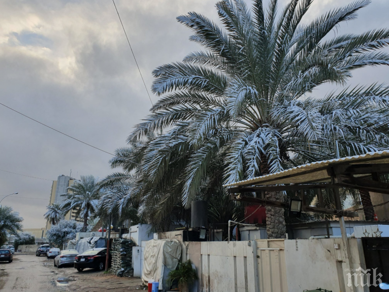 ЧУДО: Сняг покри Багдад
