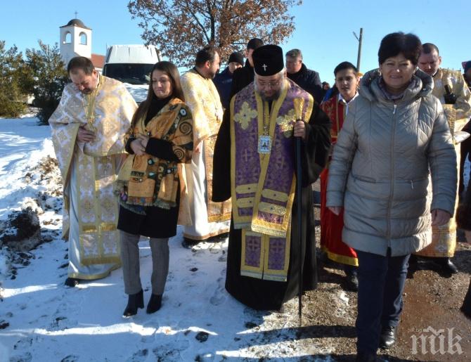 В Харманли зарязаха лозята (СНИМКИ)