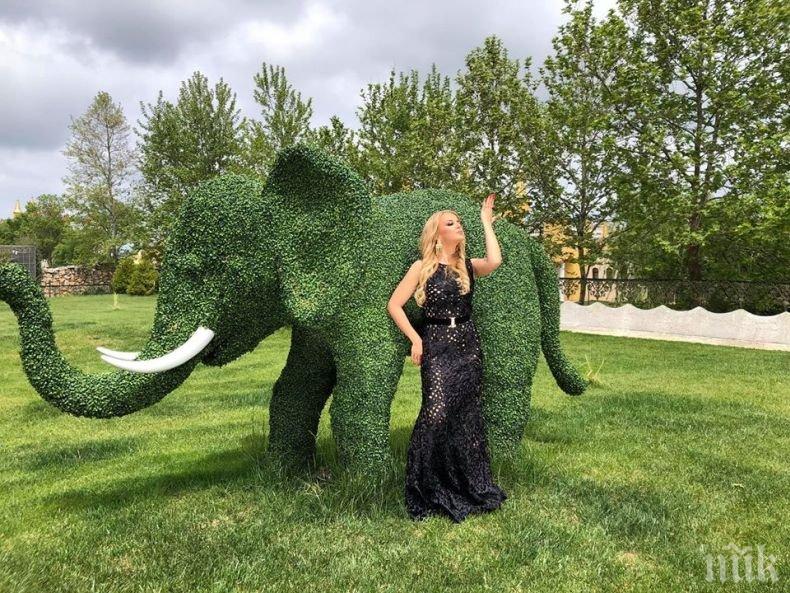 Соня Немска подпира палмите в Доминикана (СНИМКИ)