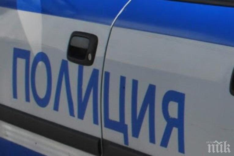 Камион прегази кон на улица в Гоце Делчев