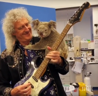 ТРОГАТЕЛНО: Брайън Мей свири за спасена от пожарите коала (ВИДЕО)