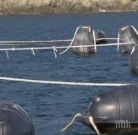 Рибари сигнализират за замърсяване от мидена ферма край Приморско