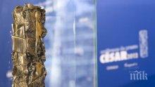 Ръководството на наградите "Сезар" подаде оставка