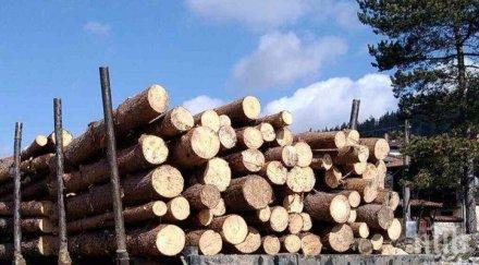 заплаши румъния наказания заради незаконната сеч