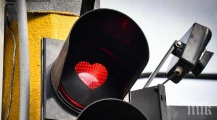 светофарите софия грейнаха сърчица снимки