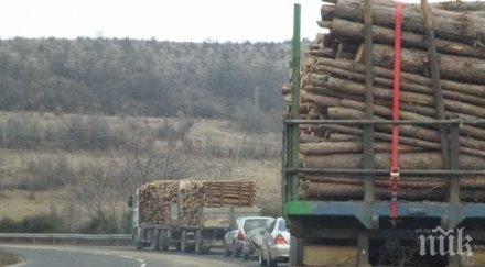 сеч залагат изрязването 110 000 декара гори