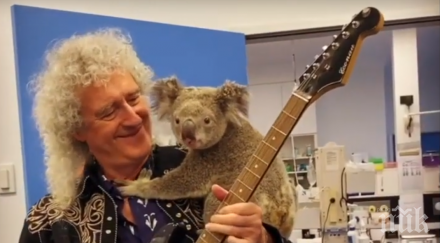 трогателно брайън мей свири спасена пожарите коала видео