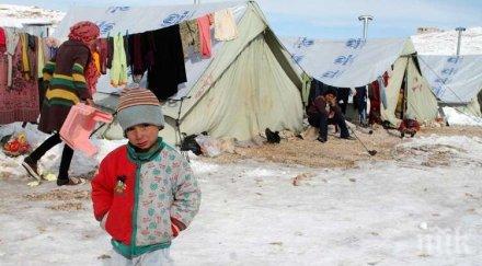 ливан официално поиска техническа помощ международния валутен фонд