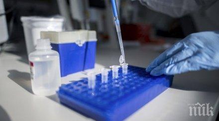 броят заболелите коронавируса сащ вече