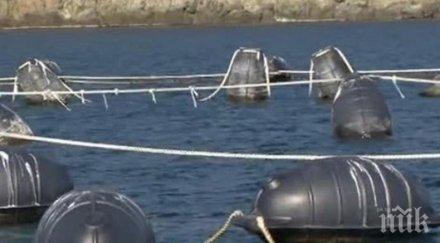 рибари сигнализират замърсяване мидена ферма приморско
