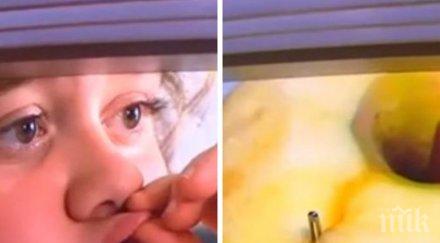 опасна находка австралийска тийнейджърка изпадна шок откри ябълка