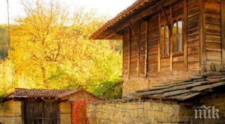 заловиха крадци ценни картини