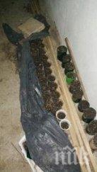 специализирана полицейска операция битовата престъпност разтресе свищов снимки