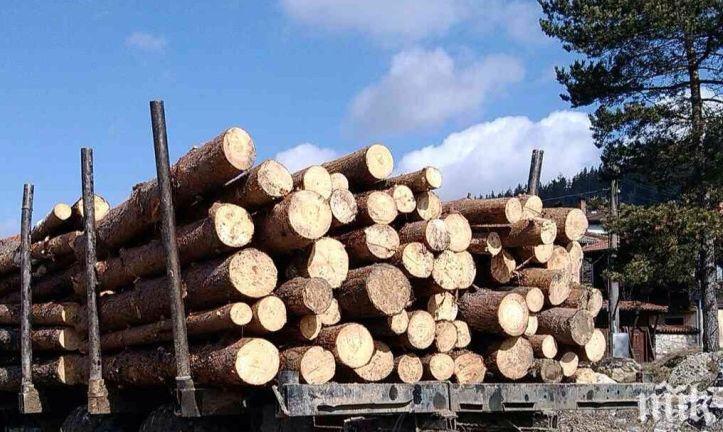 ЕК заплаши Румъния с наказания заради незаконната сеч