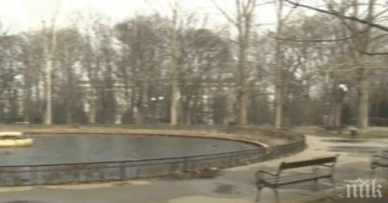 Предстои ремонт на езерото с лилиите в Борисова градина в столицата