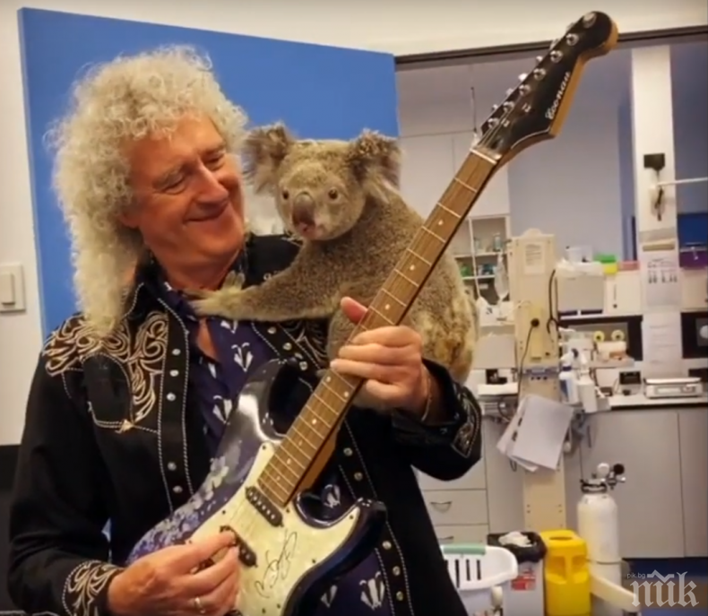 ТРОГАТЕЛНО: Брайън Мей свири за спасена от пожарите коала (ВИДЕО)