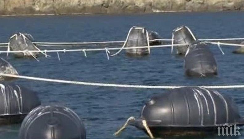 Рибари сигнализират за замърсяване от мидена ферма край Приморско