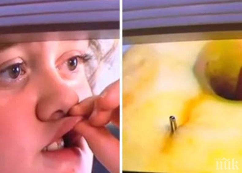 Опасна находка: Австралийска тийнейджърка изпадна в шок, след като откри в ябълка...

 