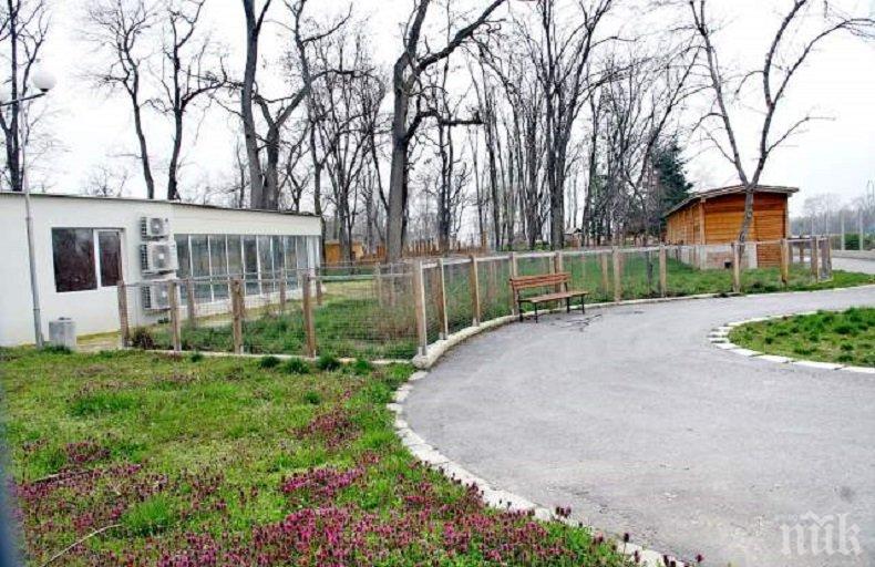 Питат Спецпрокуратурата в София за зоопарка в Пловдив