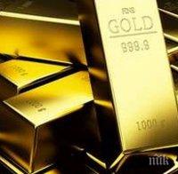 Цената на златото достигна 7-годишен връх
