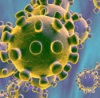 СЕНЗАЦИЯ: Астроном с шокираща теория - смъртоносният коронавирус е с извънземен произход