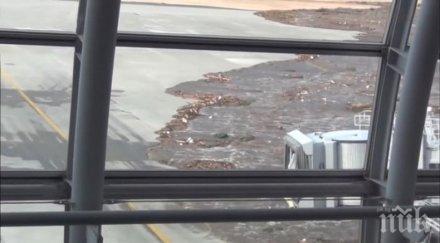 бедствие изглежда разрушително земетресение магнитуд рихтер цунами видео