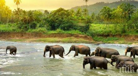 апокалиптично всички животни растения изчезнат години