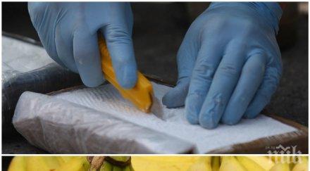 арестуваха бургаски ром кила чист кокаин свил банановата пратка