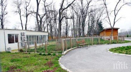 кметът пловдив спираме издръжката зоопарка нищо сложим кокошки снасят яйца