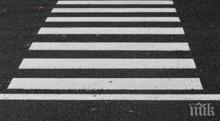 автобус помете жена зебра враца заблеяла джиесема