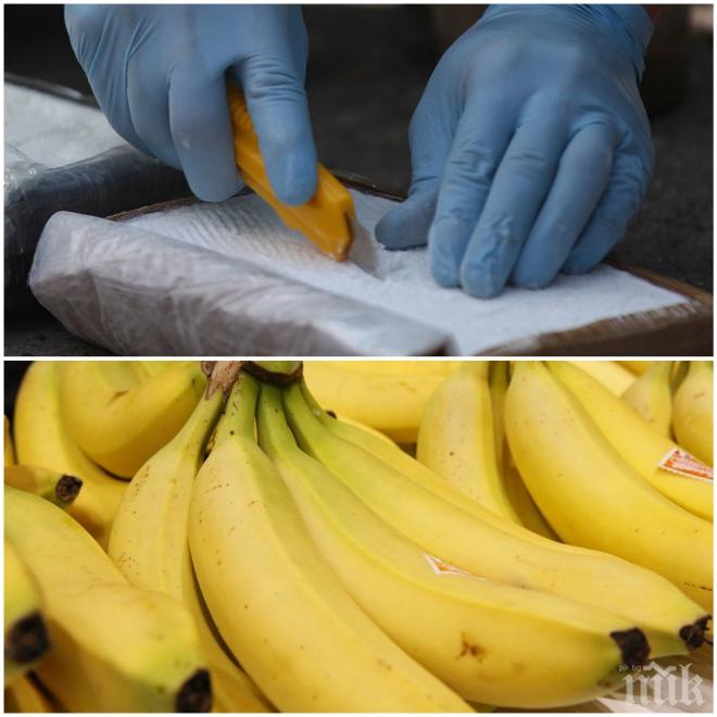  Арестуваха бургаски ром с 2 кила чист кокаин, свил ги от Банановата пратка