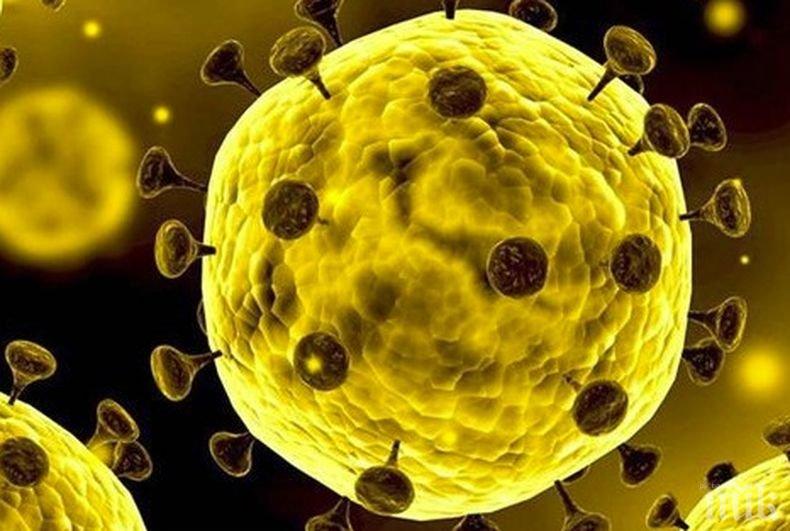 Властите в Южна Корея потвърдиха 31-ви случай на заразен с коронавирус 