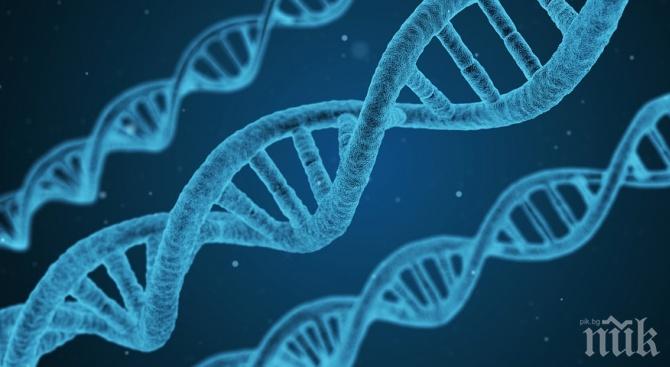 ПРОБИВ: Генна терапия спира ослепяването от рядка болест