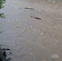 Асеновград бие аларма: Не пийте вода от Чая