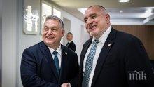 Борисов обсъди с Орбан преговорите за новия бюджет на ЕС