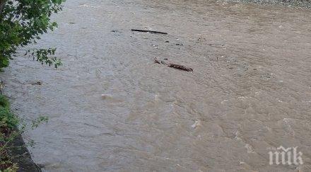 асеновград бие аларма пийте вода чая