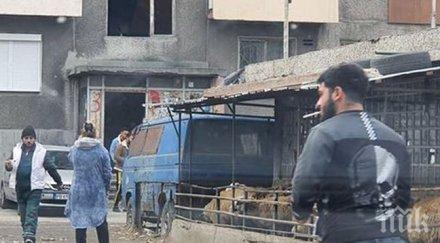 обор блока столипиново отглеждат овце междублоково пространство