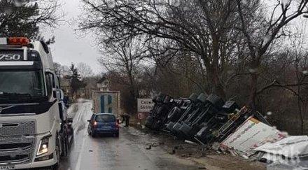 тир размаза монтана видин снимки