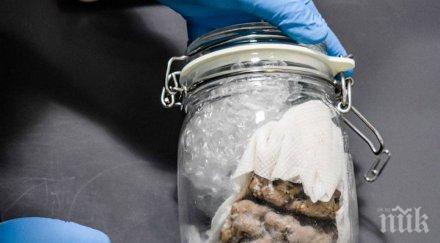 потресаващо заловиха човешки мозък буркан граничен пункт