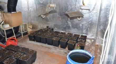 разбиха лаборатория наркотици сливен