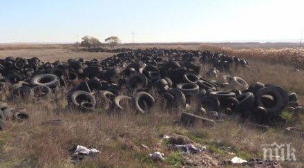 тона стари гуми извозиха нерегламентирана площадка пазарджик
