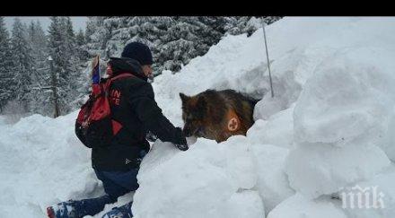 планинските спасители предупреждават туризъм