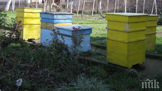 Хванаха двама крадци на кошери във Видинско