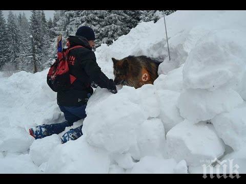 Планинските спасители предупреждават: Не е за туризъм