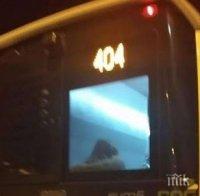 Повдигнаха обвинения на гамените за гаврите с момчето в автобус 404