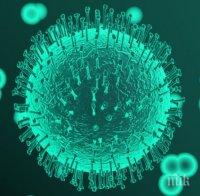 Потвърдиха коронавирус в Австрия и Хърватия