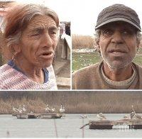 ПОТРЕС! Бургаски роми разказват как готвят пеликани: С картофи, с боб, с такива работи