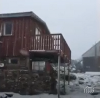 ВРЕМЕТО СЕ ПОБЪРКА: След пожарите и жегите - сняг заваля в Австралия (ВИДЕО)